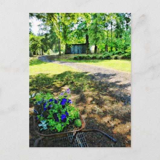 森の中で ポストカード (正面)