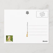 森の中のお茶やたばこ ポストカード (裏面)