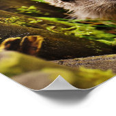 森の中のかわいいハリネズミ ポスター (角)