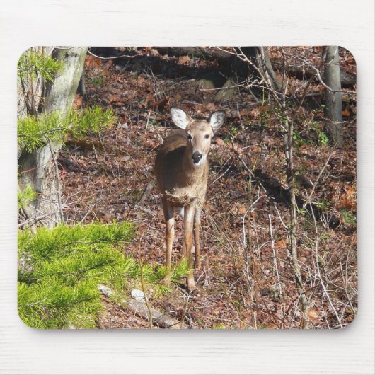森の中のかわいい鹿の自然写真 マウスパッド (正面)