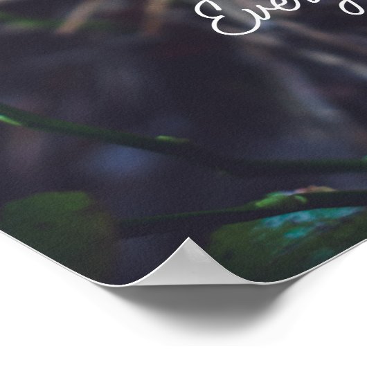 森の中のアカエイ ポスター (角)