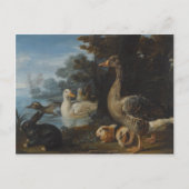 森の中のアヒルとウサギ ポストカード (正面)