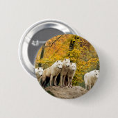 森の中のアラスカのホワイトウルブ 缶バッジ (正面&裏面)