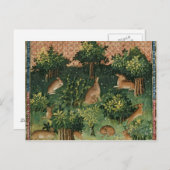 森の中のウサギ ポストカード (正面/裏面)