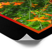 森の中のオレンジ色の花 ポスター (角)