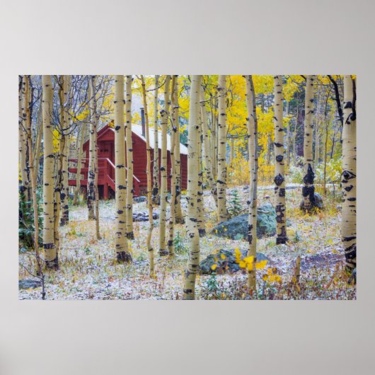 森の中のグランドメサ孤独なキャビン ポスター (正面)