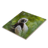 森の中のコケレルシファカ2 タイル (側面)