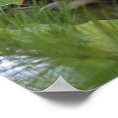 森の中のコケレルシファカ2 ポスター (角)