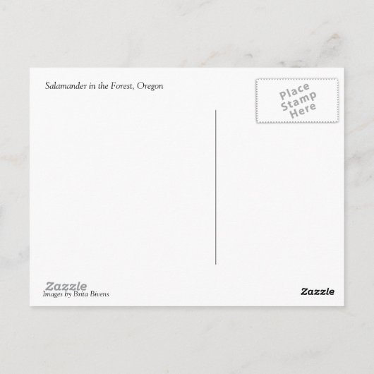 森の中のサラマンダー ポストカード (裏面)