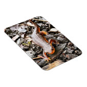 森の中のサラマンダー マグネット (右側)