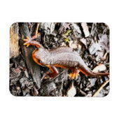森の中のサラマンダー マグネット (横)