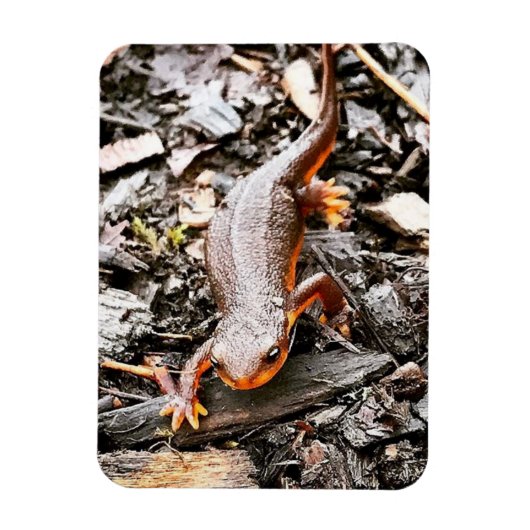 森の中のサラマンダー マグネット (縦)