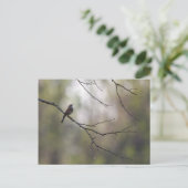 森の中のスズメ ポストカード (スタンド正面)