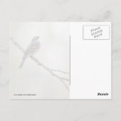 森の中のスズメ ポストカード (裏面)