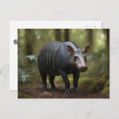 森の中のバードのタピール ポストカード (正面/裏面)