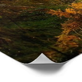 森の中のパス森の自然ウォールポスター ポスター (角)