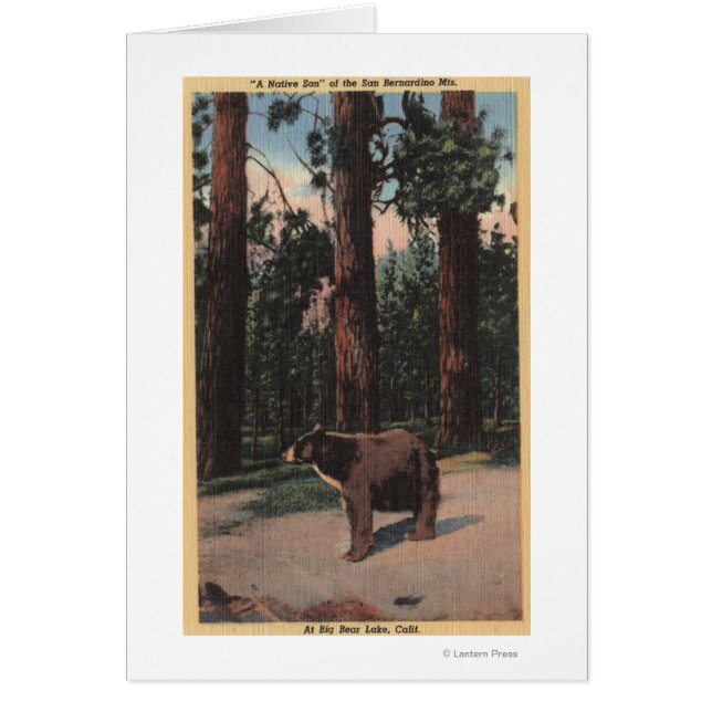 森の中のヒグマ (正面)