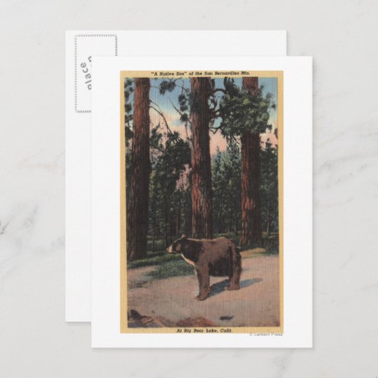 森の中のヒグマ ポストカード (正面/裏面)