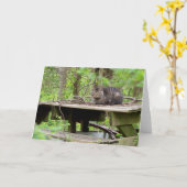 森の中のフェラル猫グリーティングカード カード (黄色い花)
