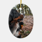 森の中のベルネーゼ山犬 セラミックオーナメント (正面)