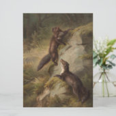 森の中のマルテンズ2 カード (スタンド正面)