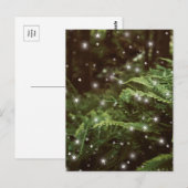 森の中のメルヘンのシダはコテージコアを星 ポストカード (正面/裏面)