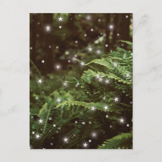 森の中のメルヘンのシダはコテージコアを星 ポストカード (正面)