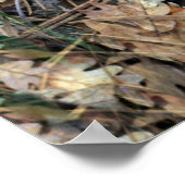 森の中のワイルドアイリス… ポスター (角)