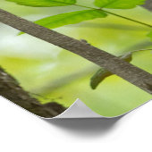 森の中のワイルド藤トリオ ポスター (角)