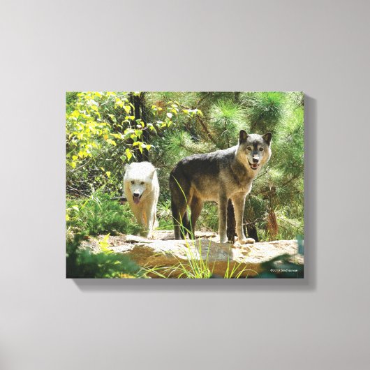 森の中の二つの灰色のオオカミ キャンバスプリント (正面)