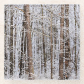 森の中の冬の氷嵐 ガラスコースター (正面)