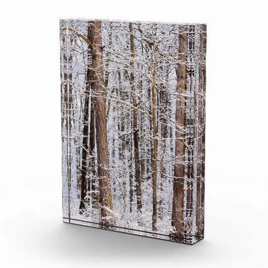 森の中の冬の氷嵐 フォトブロック (右)