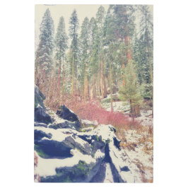 森の中の冬 メタルプリント