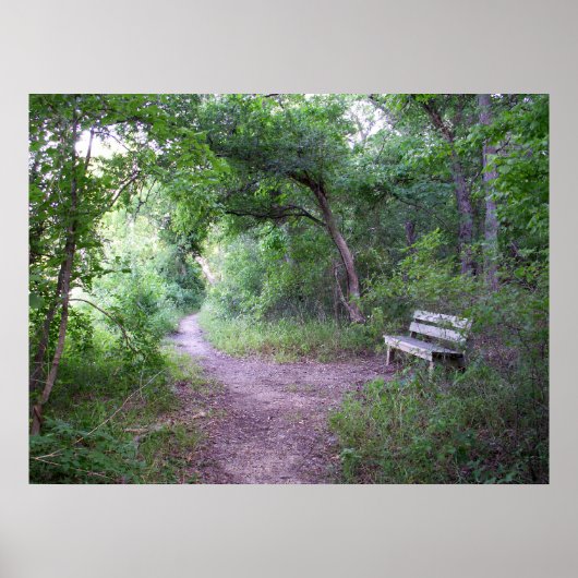 森の中の午後の日陰 ポスター (正面)