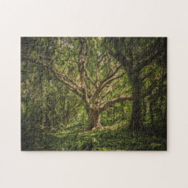 森の中の大きな古い木 ジグソーパズル