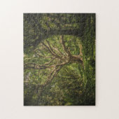 森の中の大きな古い木 ジグソーパズル (縦)