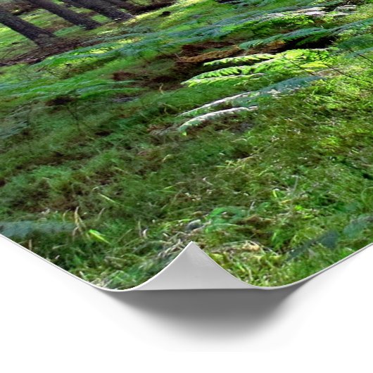 森の中の太陽 ポスター (角)