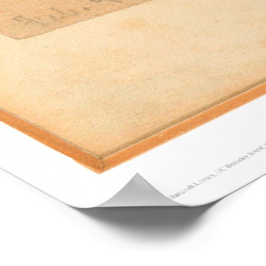 森の中の子鹿(0567A) ポスター (角)