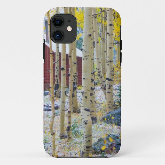 森の中の孤独な小屋 グランドメサ Case-Mate iPhoneケース (裏面)