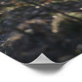 森の中の寂しい道 ポスター (角)