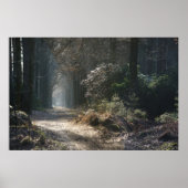 森の中の寂しい道 ポスター (正面)