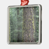 森の中の巨大なセコイアの木々、セコイアと メタルオーナメント (左)