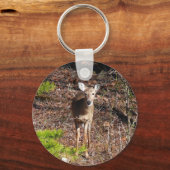 森の中の愛らしい鹿自然写真 キーホルダー (正面)