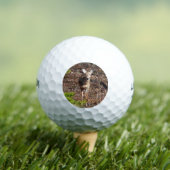 森の中の愛らしい鹿自然写真 ゴルフボール (インサイチュ 木)