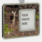 森の中の愛らしい鹿自然写真 シルバープレートフレームオーナメント (右)