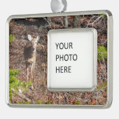 森の中の愛らしい鹿自然写真 シルバープレートフレームオーナメント (左)