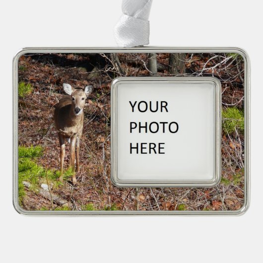 森の中の愛らしい鹿自然写真 シルバープレートフレームオーナメント (正面)