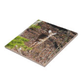 森の中の愛らしい鹿自然写真 タイル (側面)