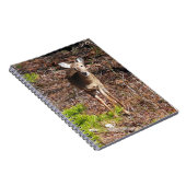 森の中の愛らしい鹿自然写真 ノートブック (右側)