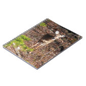 森の中の愛らしい鹿自然写真 ノートブック (左側)